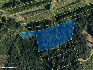 Prodej lesa, Francova Lhota, 5161 m2