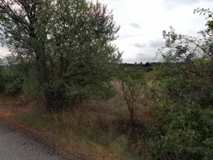 Pronájem zahrady, Dolní Kounice, 1406 m2