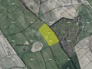 Prodej pole, Mníšek pod Brdy, 10934 m2