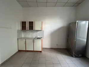 Pronájem bytu 1+kk, Ústí nad Labem, Moskevská, 16 m2