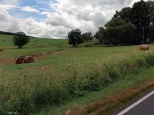 Dražba louky, Mnichov, 12065 m2