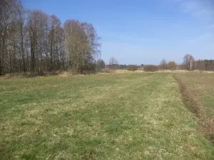 Dražba louky, Dolní Pěna, 4291 m2