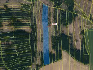 Dražba lesa, Žirovnice, 19314 m2