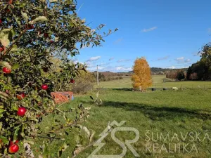 Prodej pozemku, Soběšice - Damíč, 716 m2