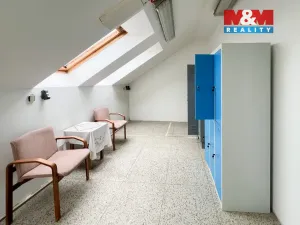 Prodej obchodního prostoru, Katovice, Kolářova, 400 m2