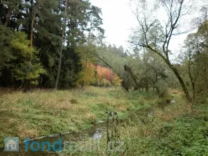 Prodej pole, Kladruby, 42411 m2