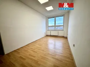 Pronájem kanceláře, České Budějovice - České Budějovice 3, K. Světlé, 19 m2