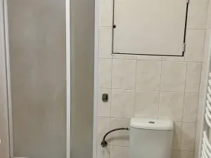 Pronájem bytu 1+kk, Brno, Trýbova, 36 m2