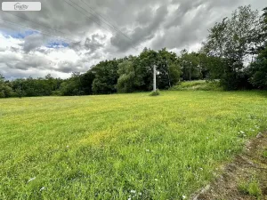 Prodej louky, Týn nad Vltavou, Hněvkovice na pravém břehu Vlt., 1648 m2