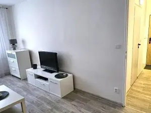 Pronájem bytu 1+1, Luštěnice, 34 m2