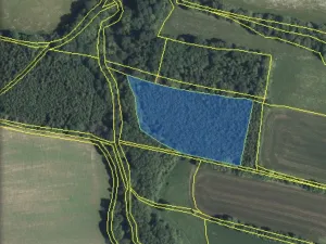 Prodej lesa, Lánov - Horní Lánov, 15278 m2