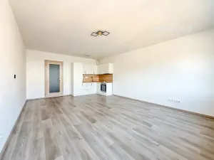 Prodej bytu 1+kk, České Budějovice, Chelčického, 41 m2