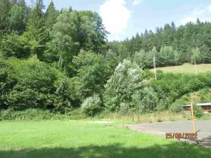 Prodej lesa, Hutisko-Solanec, 2245 m2