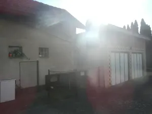 Dražba rodinného domu, Nasavrky, 231 m2