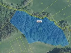 Dražba lesa, Lačnov, 10526 m2