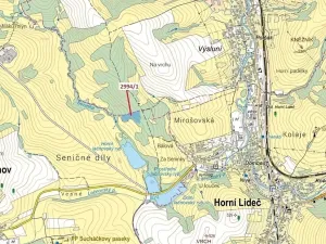 Dražba lesa, Lačnov, 15135 m2