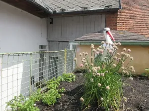 Prodej chalupy, Strašice, 231 m2