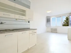 Prodej bytu 2+kk, Litvínov, Kopistská, 41 m2