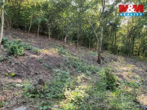 Prodej pozemku pro bydlení, Bílina, 1101 m2