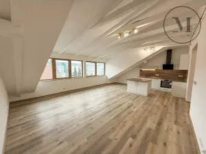 Prodej bytu 3+kk, České Budějovice, K. Weise, 124 m2