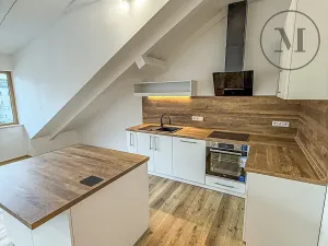 Prodej bytu 3+kk, České Budějovice, K. Weise, 124 m2