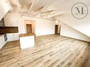 Prodej bytu 3+kk, České Budějovice, K. Weise, 124 m2