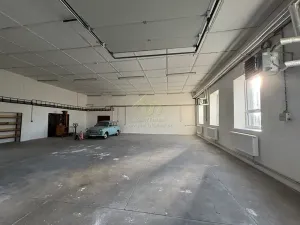 Pronájem skladu, Břasy, 163 m2