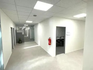 Pronájem kanceláře, Praha - Holešovice, Dělnická, 1252 m2