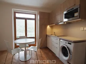 Pronájem bytu 1+kk, Brno, Obilní trh, 20 m2