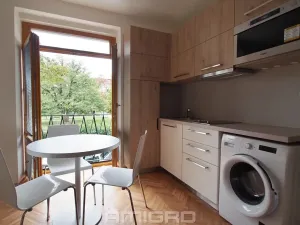 Pronájem bytu 1+kk, Brno, Obilní trh, 20 m2