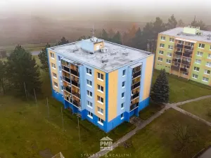 Prodej bytu 3+1, Velké Opatovice, Hliníky, 66 m2