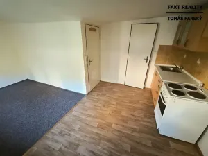 Pronájem bytu 1+kk, Děčín, Teplická, 19 m2