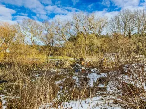 Prodej pozemku pro bydlení, Čenkov u Bechyně, 1180 m2