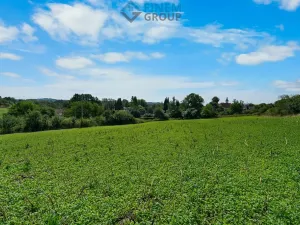 Prodej pozemku pro bydlení, Putim, 8005 m2