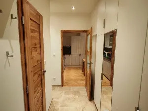 Pronájem bytu 3+kk, Plzeň - Jižní Předměstí, Alešova, 54 m2