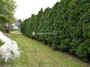 Prodej rodinného domu, Vodňany, 281 m2