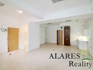 Pronájem kanceláře, Praha, Kremnická, 48 m2