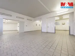 Pronájem skladu, Nymburk, Jičínská, 249 m2