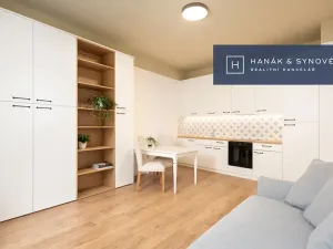 Pronájem bytu 2+kk, Brno, Cejl, 45 m2