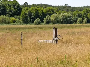 Prodej louky, Doksy, 46765 m2