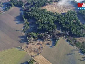 Prodej lesa, Bohdalov, 34642 m2