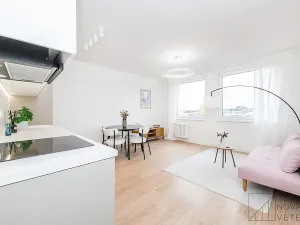 Prodej bytu 2+kk, Praha - Žižkov, Biskupcova, 47 m2