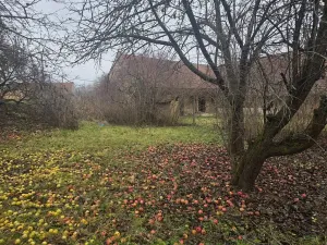 Prodej rodinného domu, Milonice, 100 m2