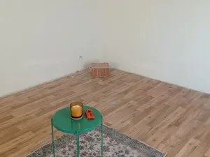 Pronájem bytu 1+1, Litvínov - Horní Litvínov, U Zámeckého parku, 27 m2