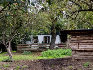 Prodej rodinného domu, Litíč, 60 m2