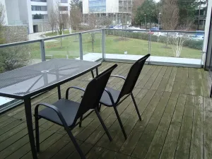 Pronájem bytu 2+kk, Brno, Netroufalky, 57 m2