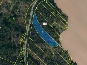 Dražba lesa, Náměšť nad Oslavou, 1796 m2