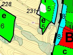 Dražba lesa, Žďárec, 2873 m2