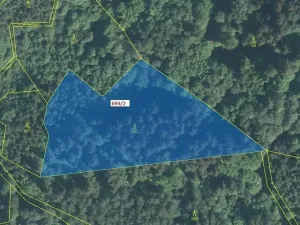 Dražba lesa, Lačnov, 7364 m2