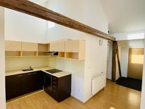 Pronájem bytu 2+kk, Brno, Ptašínského, 53 m2